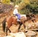 Jack on a horse